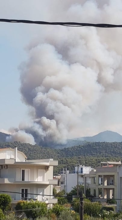 Πυρκαγια ΤΩΡΑ σε δασική έκταση στην Νέα Αλμυρή Κορινθίας (Φωτο)