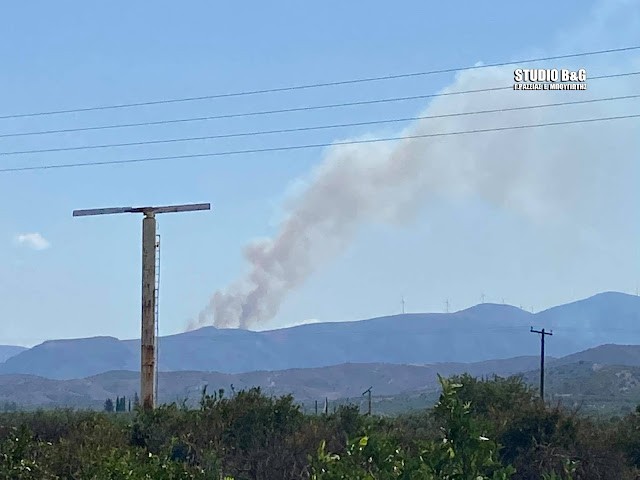 Πυρκαγιά ΤΩΡΑ σε δασική έκταση στο Αραχναίο Αργολίδας