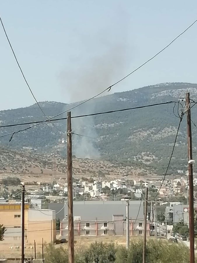 Πυρκαγιά σε δασική έκταση στη Χασιά Αττικής