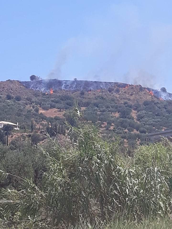 Υπό έλεγχο η πυρκαγιά στην περιοχή Νερατζούλες Ζακύνθου