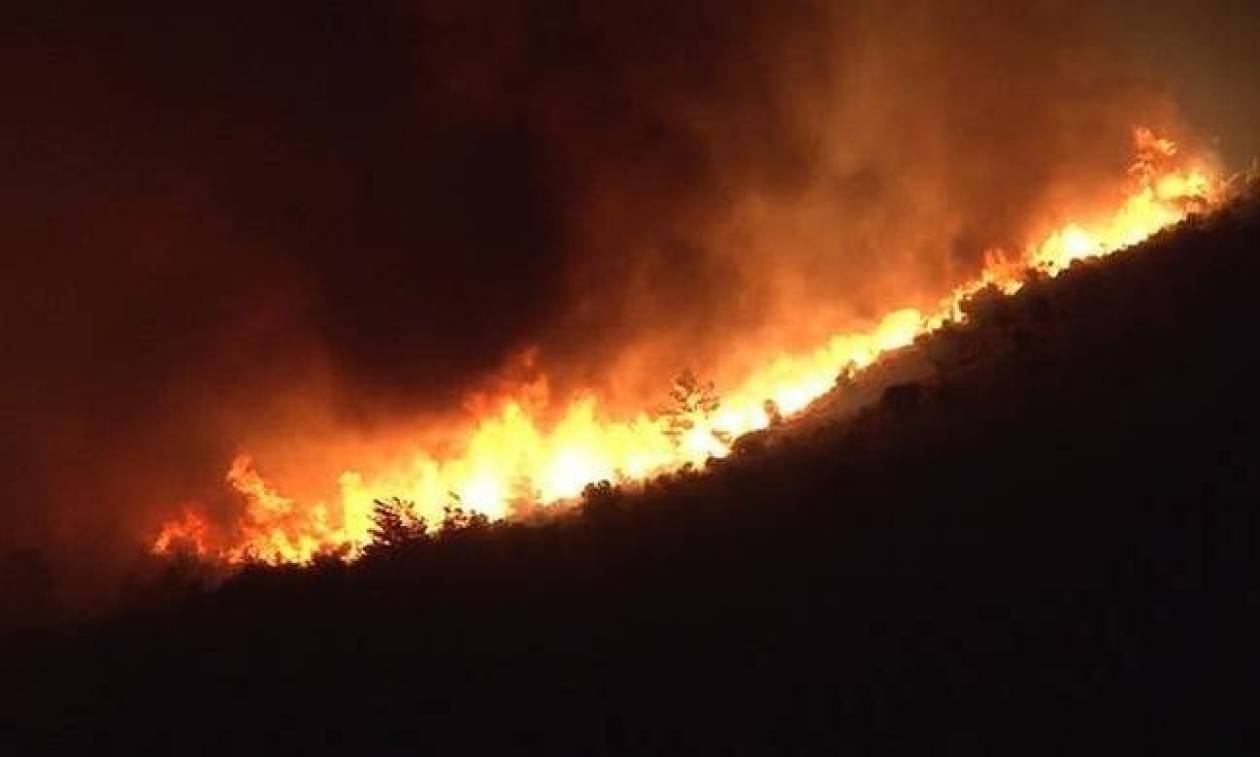 Σε εξέλιξη πυρκαγιά σε χορτολιβαδική έκταση στα Αρμόλια Χίου