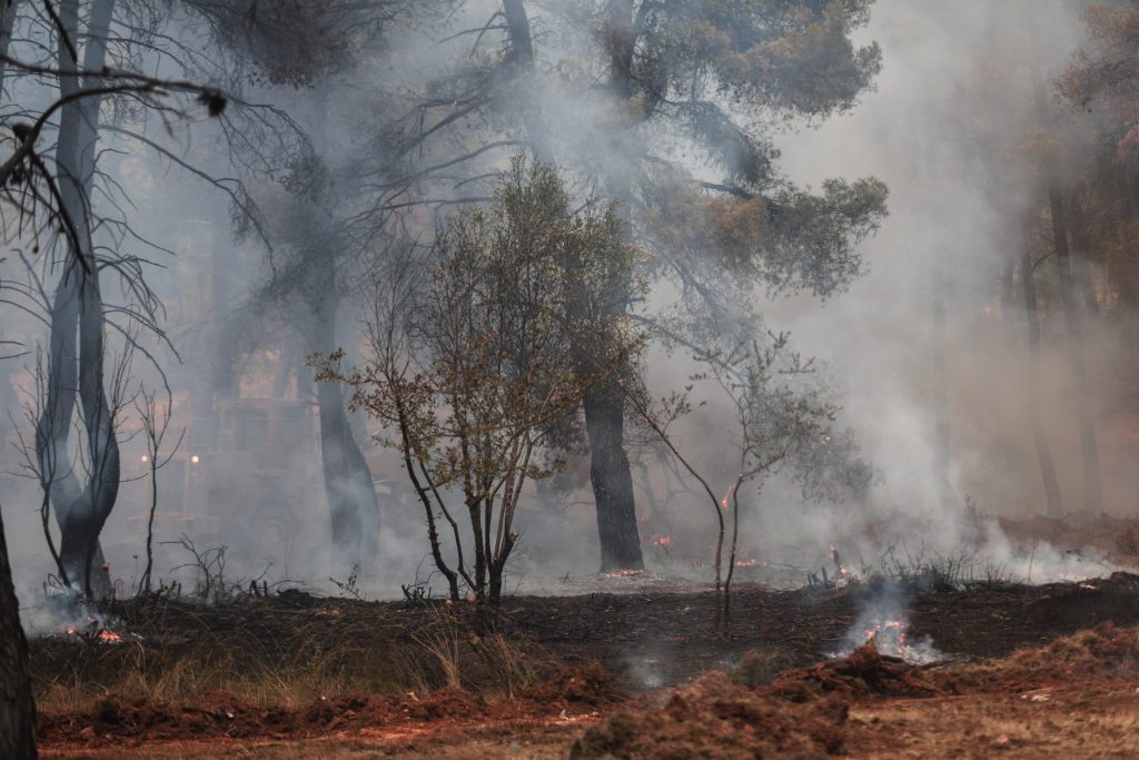 Πυρκαγιά στη Σταμάτα: Εικόνες από καμμένα σπίτια και αυτοκίνητα