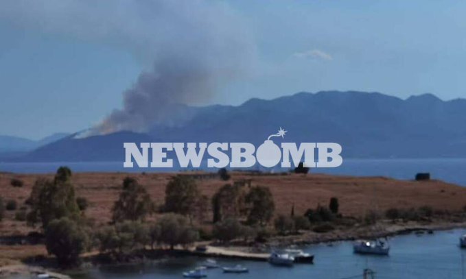 Πυρκαγιά ΤΩΡΑ σε αγροτοδασική έκταση στα στα Μέθανα Τροιζηνίας