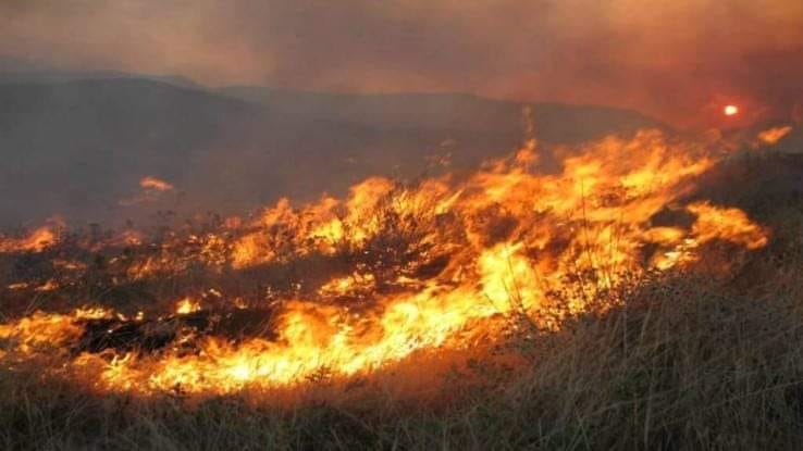 Πυρκαγιά στο Δρυμό Βόνιτσας κινητοποίησε την Πυροσβεστική