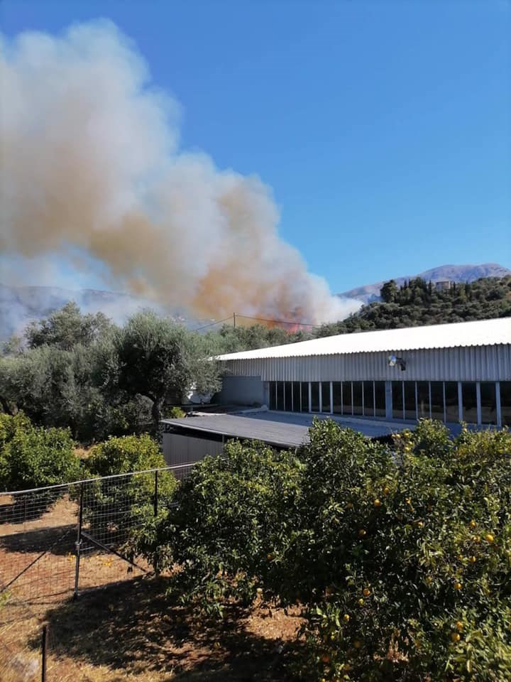 Ενισχύονται οι δυνάμεις στην πυρκαγιά σε δασική έκταση στο Κάτω Μαυρίκι Αχαΐας