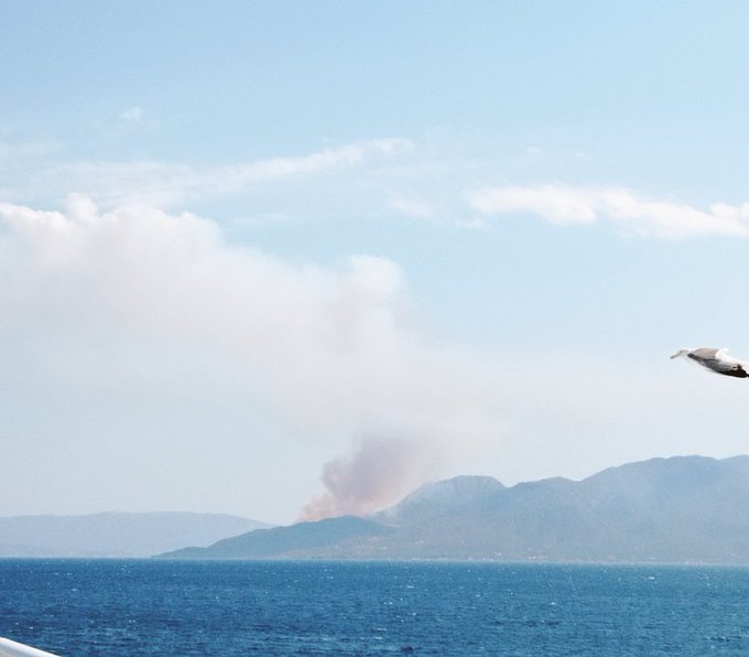 Πυρκαγιά ΤΩΡΑ σε αγροτοδασική έκταση στα στα Μέθανα Τροιζηνίας