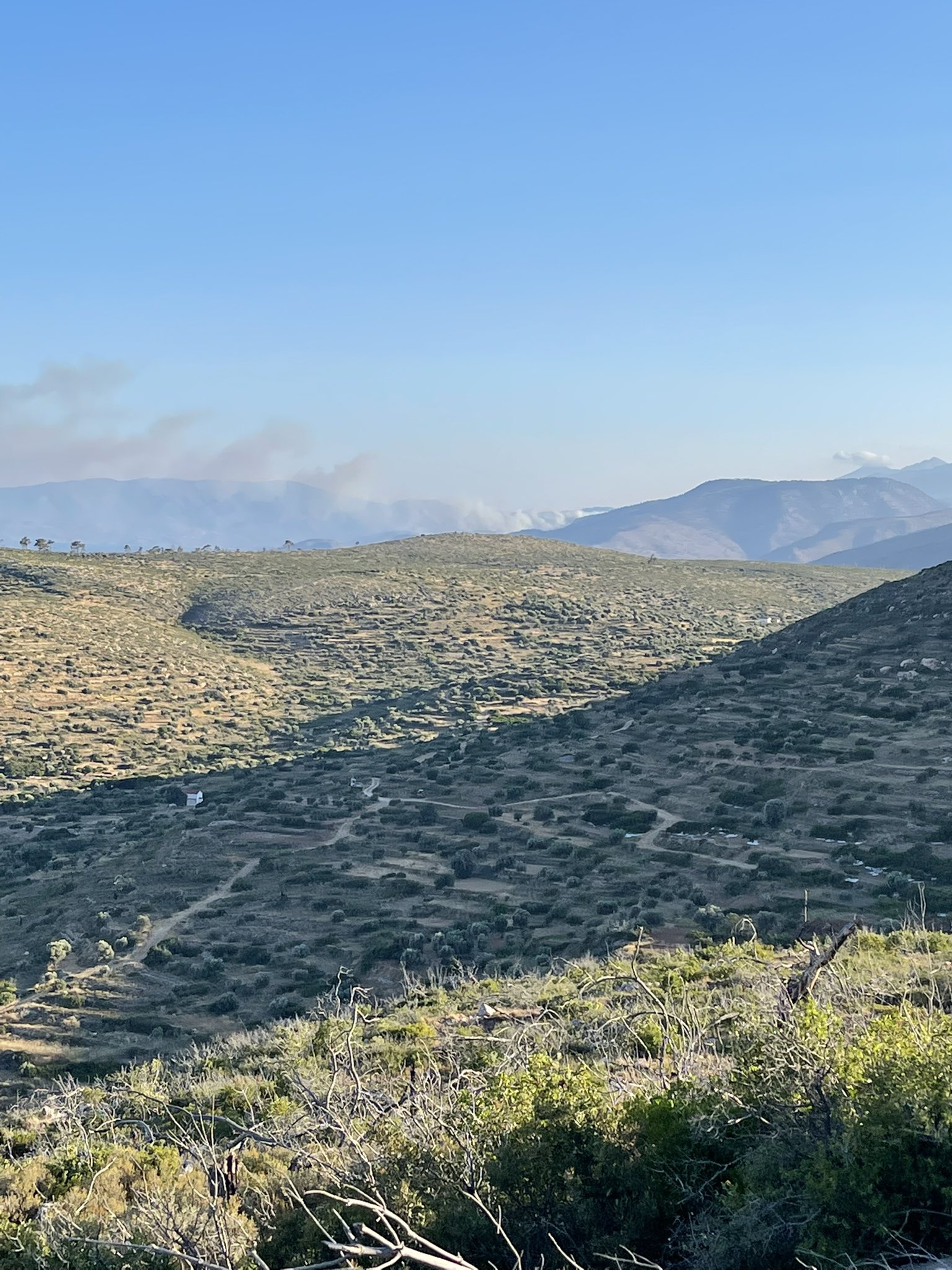 Πυρκαγιά σε δασική έκταση στην περιοχή Κατάβαση Χίου - Εκκενώθηκε το χωριό