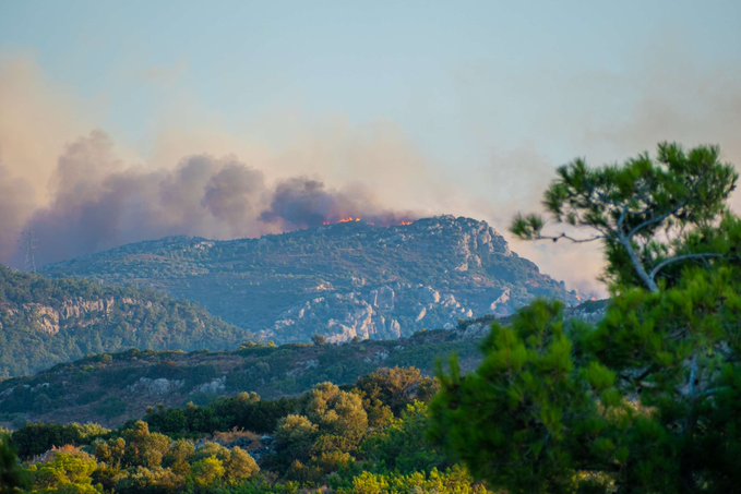 Πυρκαγιά ΤΩΡΑ σε δασική έκταση στον Άγιο Νικόλαο Κρήτης