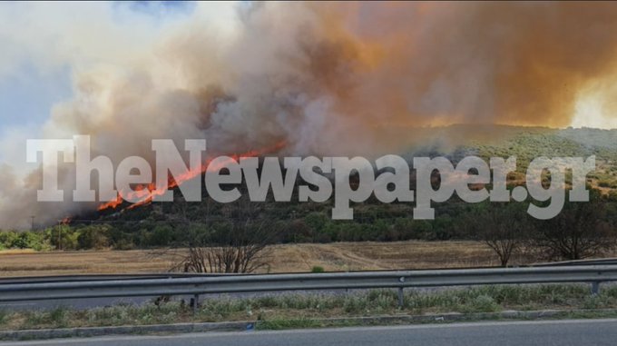Πυρκαγιά ΤΩΡΑ σε χαμηλή βλάστηση στην περιοχή Σκαφίδες Μαγνησίας (Φώτο)