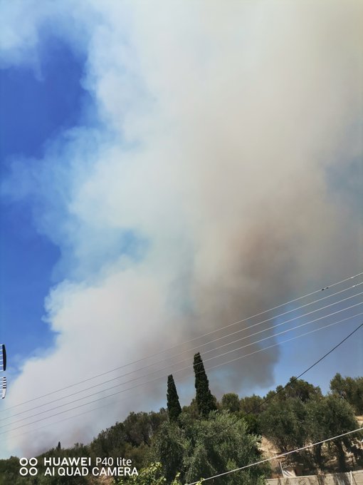 Πυρκαγιά ΤΩΡΑ σε δασική έκταση στη Ζήρια Αχαΐας - Με κατεύθυνση προς το χωριό το μετωπο