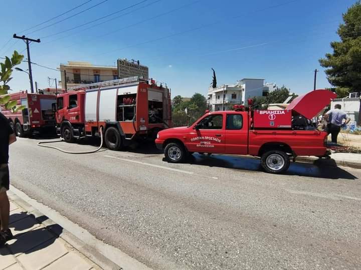 Πυρκαγιά σε οικοπεδικό χώρο στο Χαλάνδρι Αττικής.(φωτο)