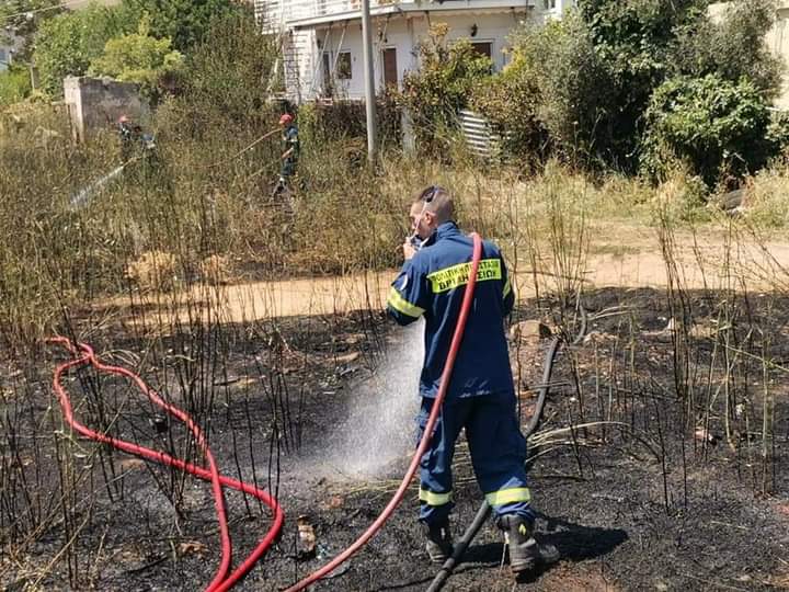 Πυρκαγιά σε οικοπεδικό χώρο στο Χαλάνδρι Αττικής.(φωτο)