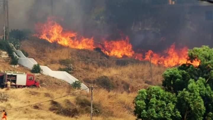 Φωτογραφικό υλικό απο την πυρκαγιά στην Κάρυστο