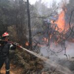 54 Δασικές πυρκαγιές το τελευταίο 24ωρο