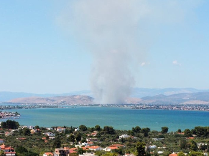 Πυρκαγιά ΤΩΡΑ σε δασική έκταση στην περιοχή Βαθροβούνι Χαλκίδας