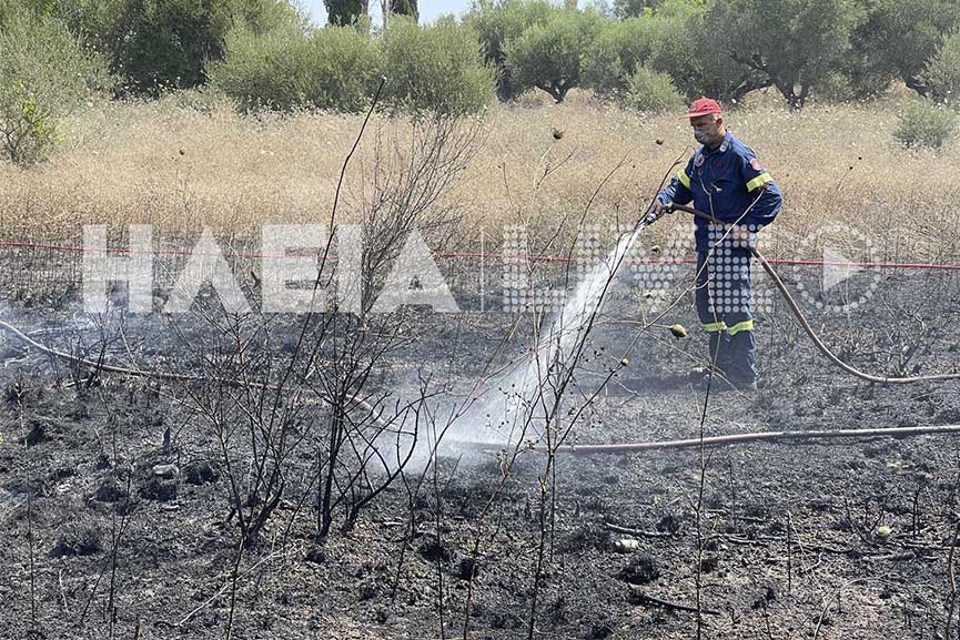 Πυρκαγιά σε δασική έκταση στην ευρύτερη περιοχή Πρασίνου - Κατσαρού - Φωναϊτικών Ηλείας