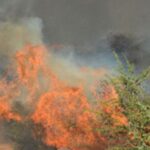 Πυρκαγιά εν υπαίθρω στο Βλυχό Μεγάρων