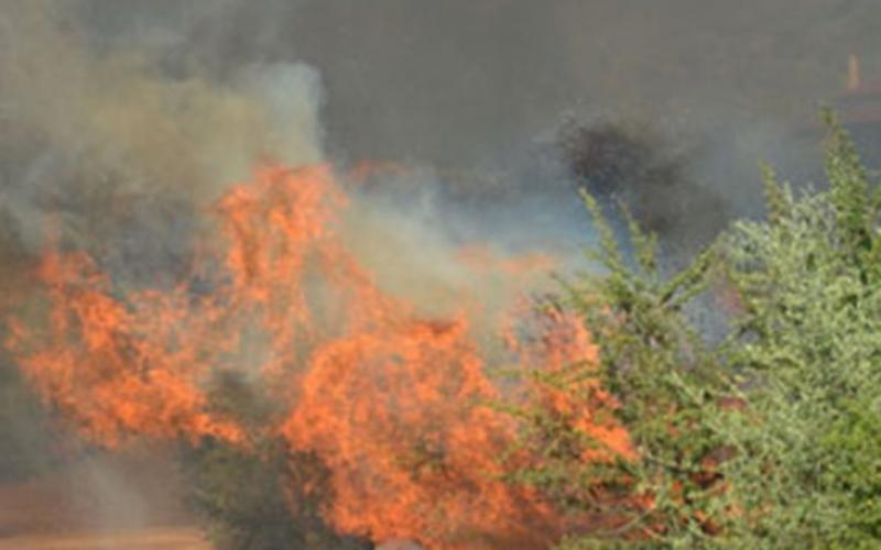 Πυρκαγιά σε εξέλιξη σε χορτολιβαδική έκταση στην περιοχή Πρινές στο Ρέθυμνο Κρήτης