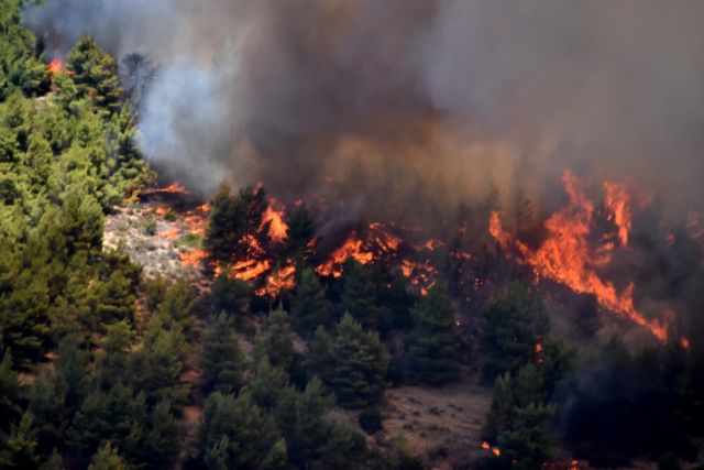Ενίσχυση δυνάμεων για της πυρκαγιές στην Κεφαλονιά Ενίσχυση δυνάμεων για της πυρκαγιές στην Κεφαλονιά