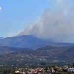 Πυρκαγιά ΤΩΡΑ σε δασική έκταση στο Αραχναίο Αργολίδας