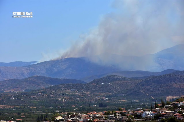 Πυρκαγιά ΤΩΡΑ σε δασική έκταση στο Αραχναίο Αργολίδας Πυρκαγιά ΤΩΡΑ σε δασική έκταση στο Αραχναίο Αργολίδας
