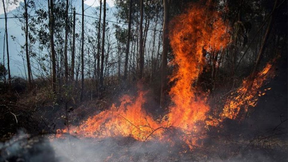 Υπό έλεγχο τέθηκαν η πυρκαγιές στην Χαλκιδική και Θεσσαλονίκη