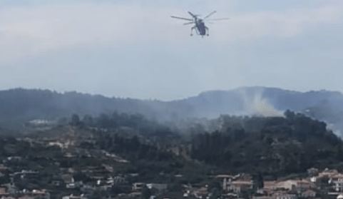 Πυρκαγιά σε δασική έκταση στην Λίμνη Ευβοίας