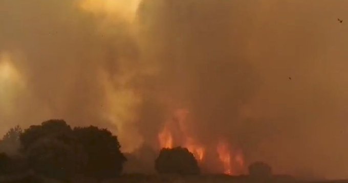 Πυρκαγιά ΤΩΡΑ σε αγροτοδασική έκταση στην περιοχή Ζήρια Αιγίου