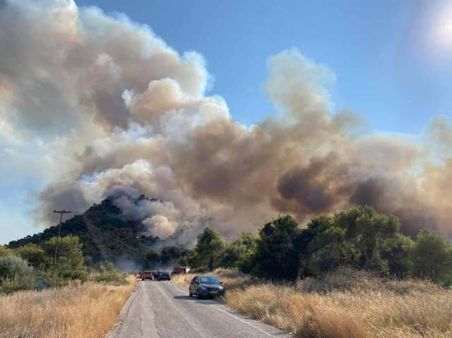 44 Δασικές πυρκαγιές εκδηλώθηκαν το τελευταίο 24ωρο
