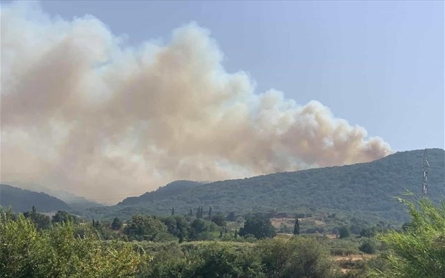 Πυρκαγιά σε δασική έκταση στην περιοχή Θυρίου Βόνιτσα (Φώτο)