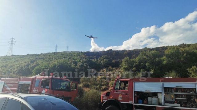 Πυρκαγιά ΤΩΡΑ σε χαμηλή βλάστηση στην περιοχή Καμηλόβρυση Φθιώτιδας