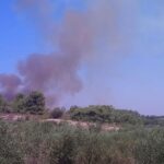 Πυρκαγιά ΤΩΡΑ σε δασική έκταση στην Ρόδο (Φώτο)
