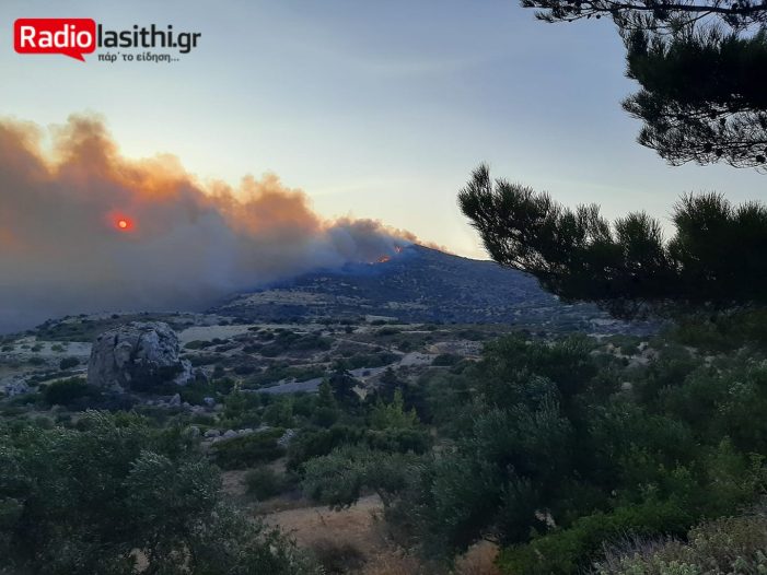 Πυρκαγιά ΤΩΡΑ σε δασική έκταση στον Άγιο Νικόλαο Κρήτης