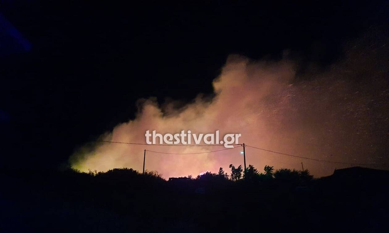 Πυρκαγιά σε εξέλιξη στην περιοχή της Νέα Ευκαρπία Θεσσαλονίκης (Φώτο)