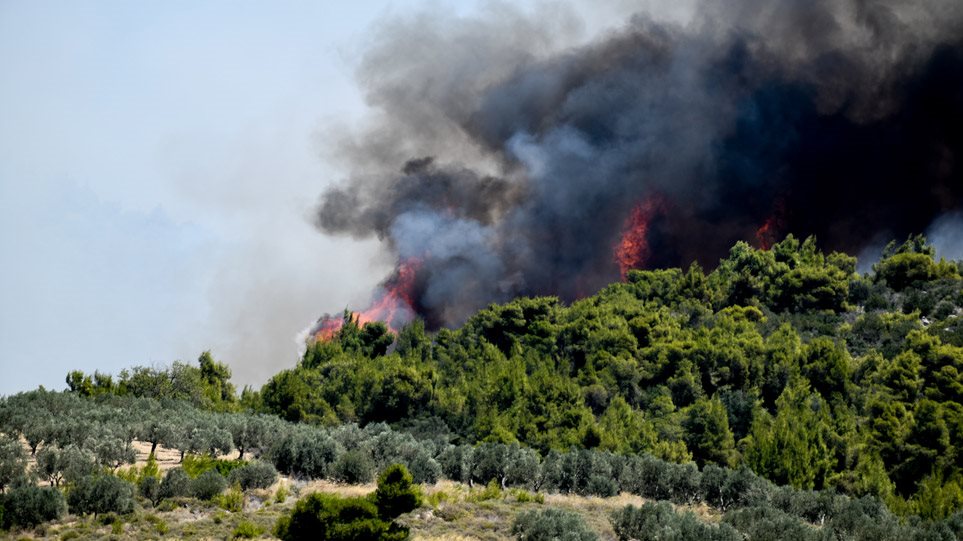 Πυρκαγιά σε εξέλιξη σε δασική έκταση στην περιοχή Παρθενώνας στην Χαλκιδική