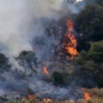 Πυρκαγιά σε δασική έκταση στην περιοχή του Σουφλίου στον Έβρο