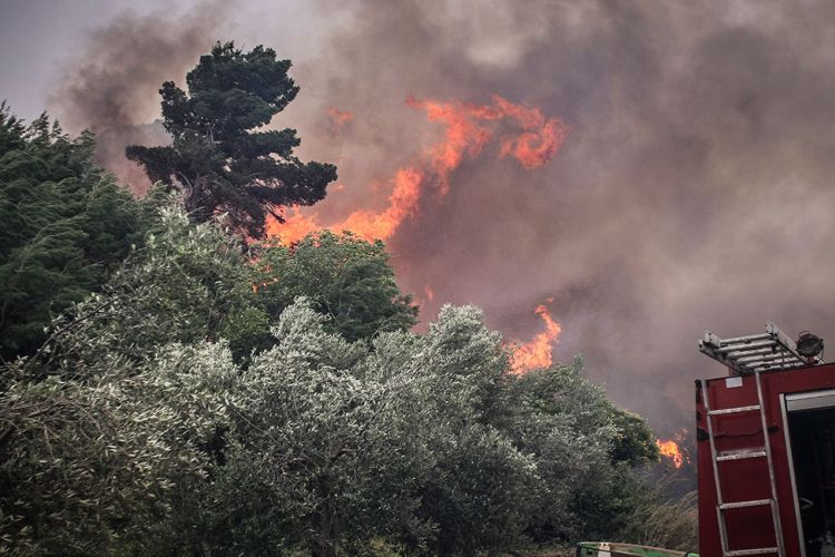 3 πυρκαγιές στην Σαλαμίνα Αττικής