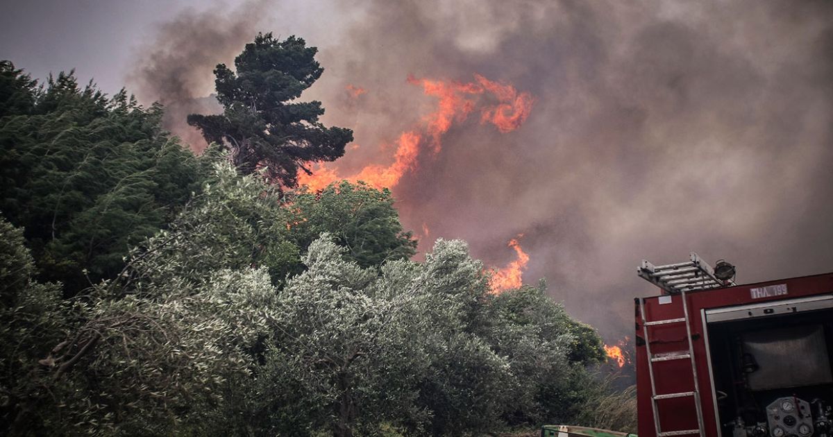 Πυρκαγιά ΤΩΡΑ σε Δασική έκταση κοντά στην περιοχή Κερασιές στην Έδεσσα