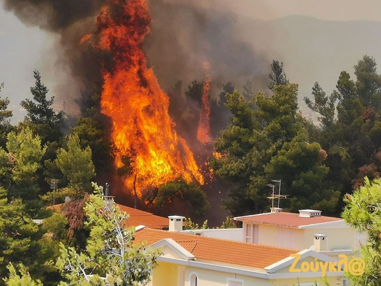 Δασική πυρκαγιά ΤΩΡΑ στην Σταματά Αττικής.(φωτο)