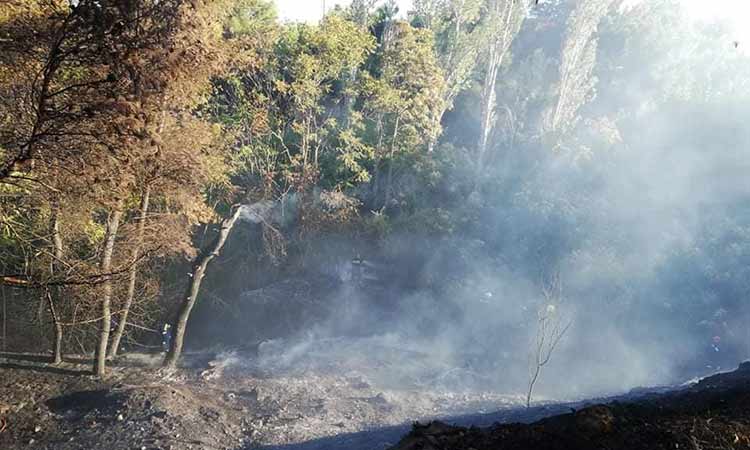 Πυρκαγιά σε ρεματιά στον Άγιο Δημήτριο Αττικής Πυρκαγιά σε ρεματιά στον Άγιο Δημήτριο Αττικής