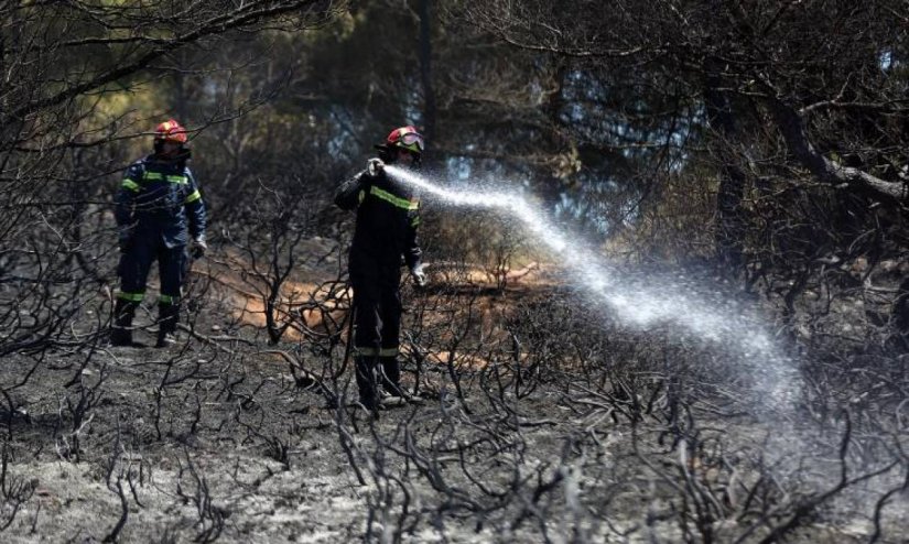 1100 καμένα στρέμματα από την πυρκαγιά στην Χίο