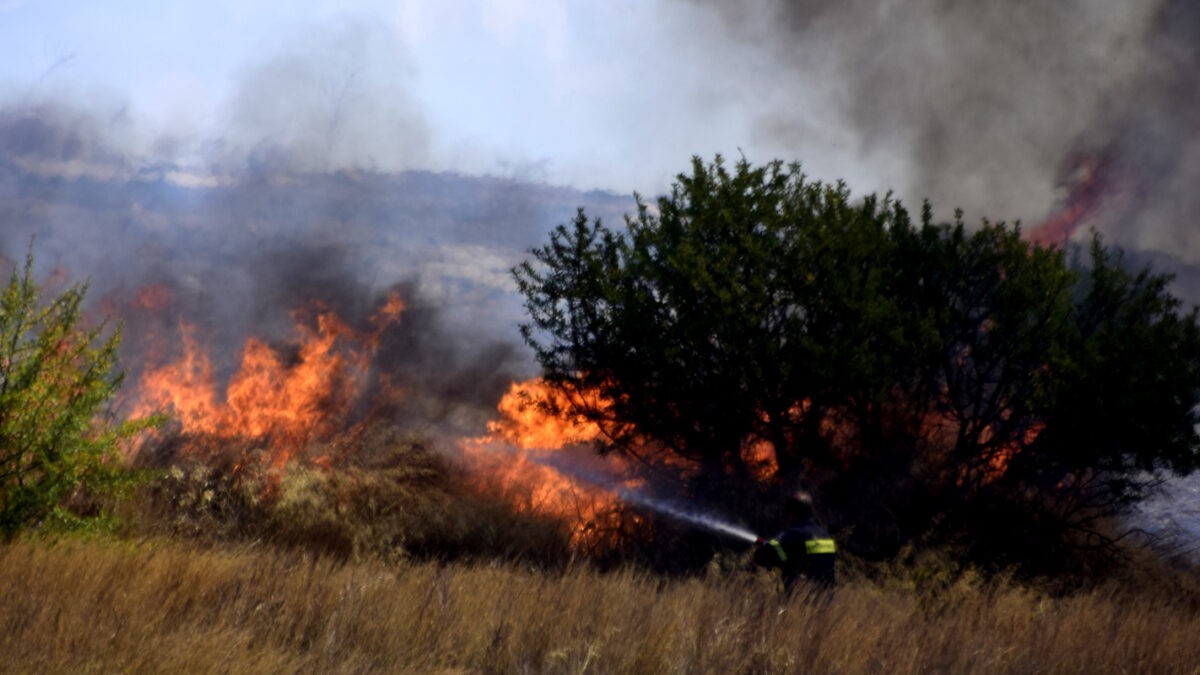 Πυρκαγιά σε χορτολιβαδική έκταση στην Ροδιά Τυρνάβου