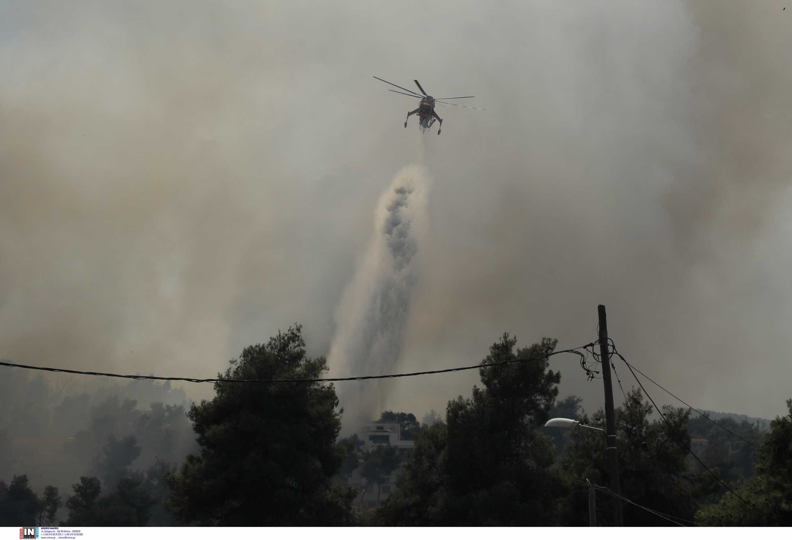 Πυρκαγιά στη Σταμάτα: Τέσσερις προσαγωγές υπόπτων - Τα ενδεχόμενα που ερευνούν οι διωκτικές αρχές