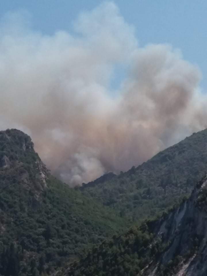 Πυρκαγιά ΤΩΡΑ σε δασική έκταση στην περιοχή Βουρλιώτες Σάμου (Φώτο)