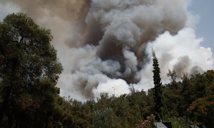 46 Δασικές πυρκαγιές εκδηλώθηκαν το τελευταίο 24ωρο