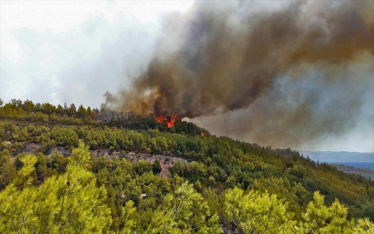 Πυρκαγιά ΤΩΡΑ σε αγροτοδασική έκταση στην περιοχή Κατσικάς Ιωαννίνων