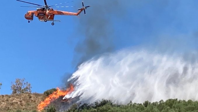 Πυρκαγιά ΤΩΡΑ σε δασική έκταση στην περιοχή Βαθροβούνι Χαλκίδας