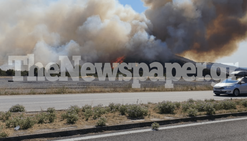 Πυρκαγιά ΤΩΡΑ σε χαμηλή βλάστηση στην περιοχή Σκαφίδες Μαγνησίας (Φώτο)