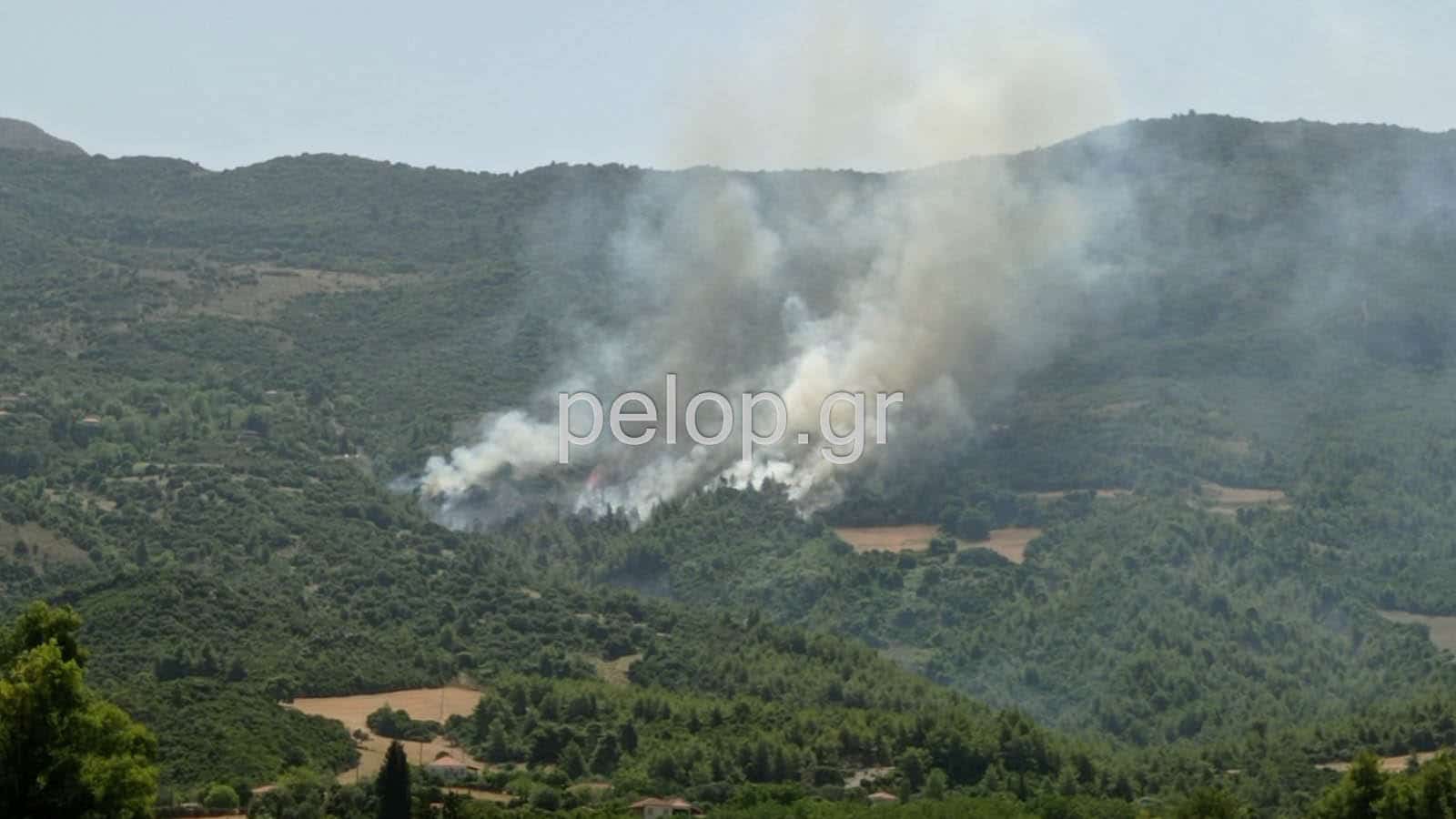 Πυρκαγιά στην Αχαϊα - Εκκενώνεται ο οικισμός Δροσιά (Φώτο)