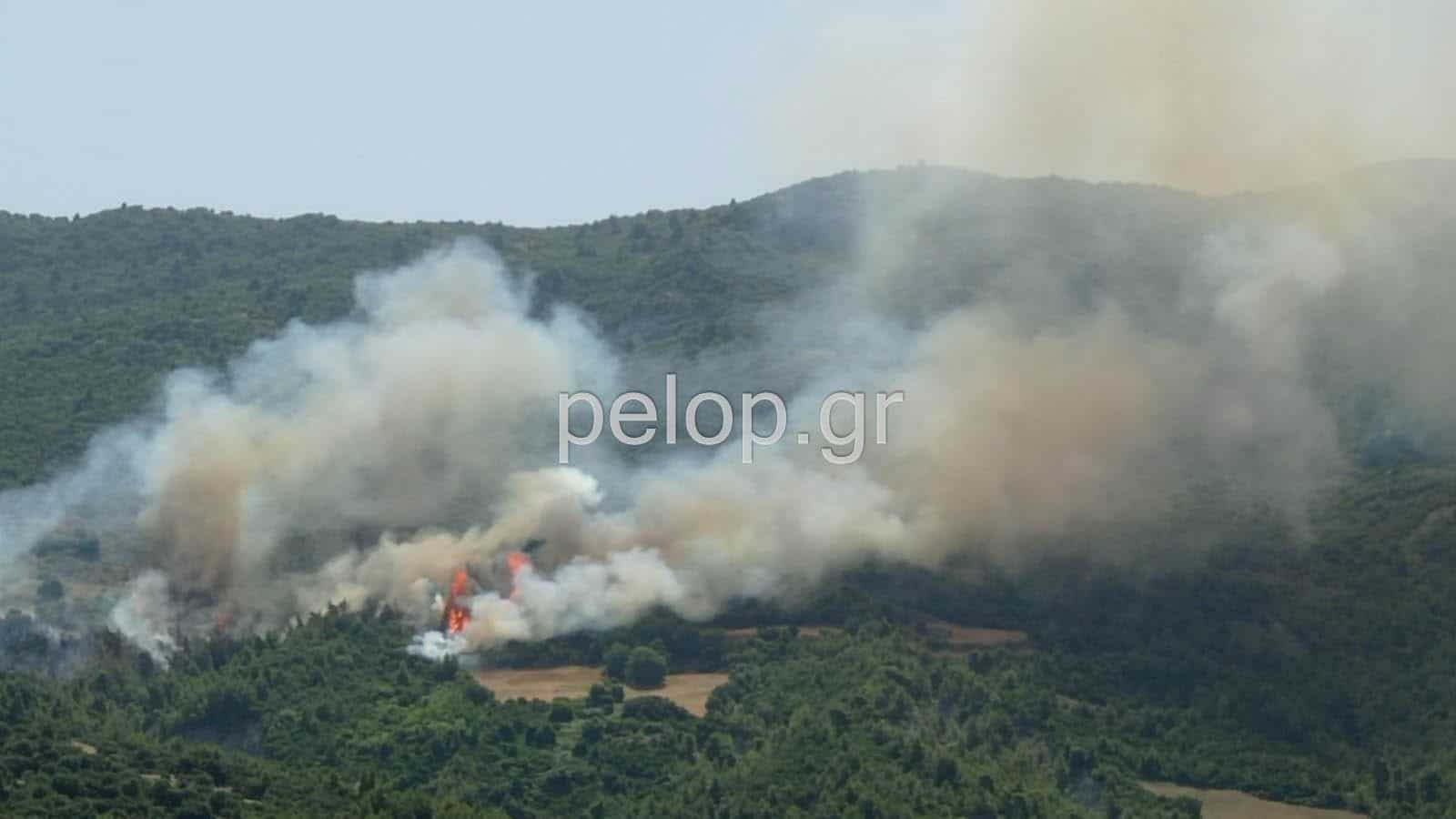 Πυρκαγιά στην Αχαϊα - Εκκενώνεται ο οικισμός Δροσιά (Φώτο)